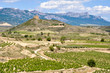 Castillo de Davalillo, La Rioja (España)