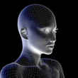 High resolution 3D wireframe human female head isolated