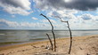 Beach at the Baltic sea.