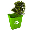 Tree in recycle bin