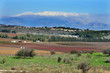 Travel Photos of Israel - Mount Hermon