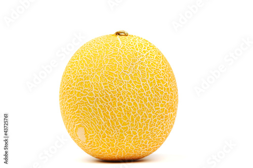 Photo: galia melone galia melone