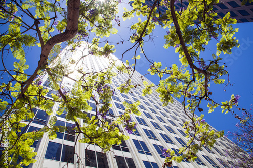 Photo: downtown Los Angeles downtown Los Angeles