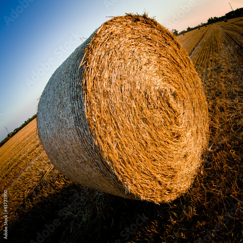 Photo: campagna - countryside campagna - countryside