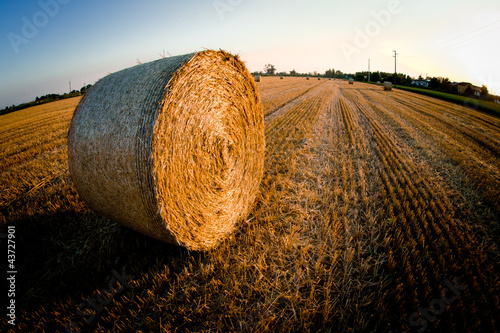 Photo: campagna - countryside campagna - countryside
