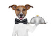 dog service tray
