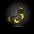 Vector: Beautiful blue butterfly with shadow Beautiful blue butterfly with shadow