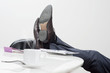 Photo: coffee break coffee break