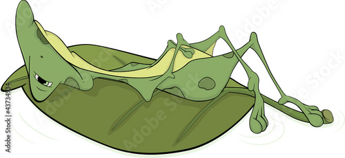 Vektor: Green big frog. Cartoon Green big frog. Cartoon