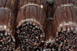 bottes de vanille Bourbon