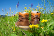 mountain boots hiking