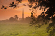 Salisbury cathedral at dawn