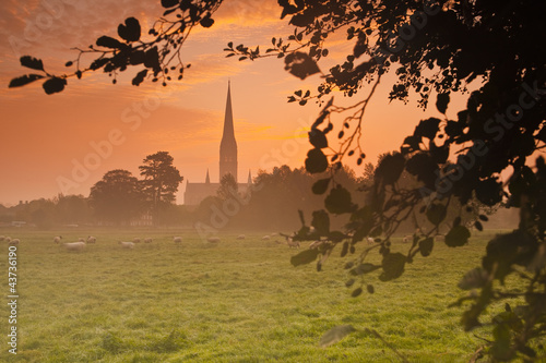 Photo: Salisbury cathedral at dawn Salisbury cathedral at dawn