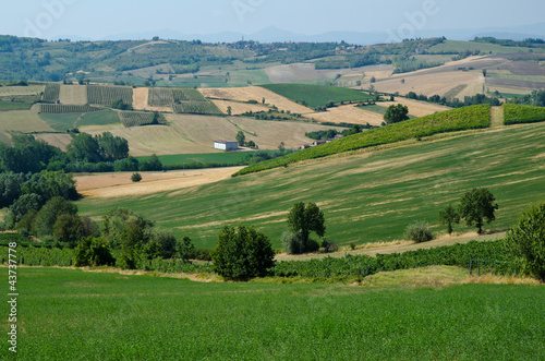 Photo: I Colli Tortonesi - (Al) I Colli Tortonesi - (Al)