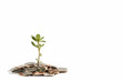 Grow your savings