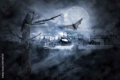 Photo: Night birds Night birds