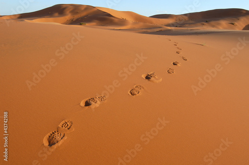 Photo: Footsteps in the Sahara Desert Footsteps in the Sahara Desert