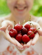 Smiling girl holding a handful of red cherries