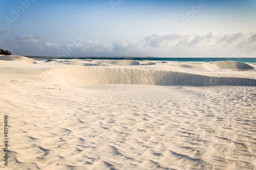 Foto: White sand dune White sand dune