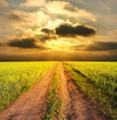 Photo: evening rural landscape with a road evening rural landscape with a road