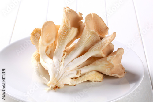 Fresh oyster mushrooms Fresh oyster mushrooms