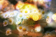 beautiful flowers made with color filters