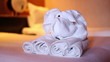 Video: Towel Dog Towel Dog