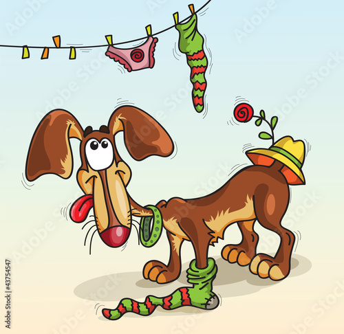 Vector: dog in a sock dog in a sock