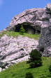 Photo: Mountain Tree Mountain Tree