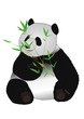 panda