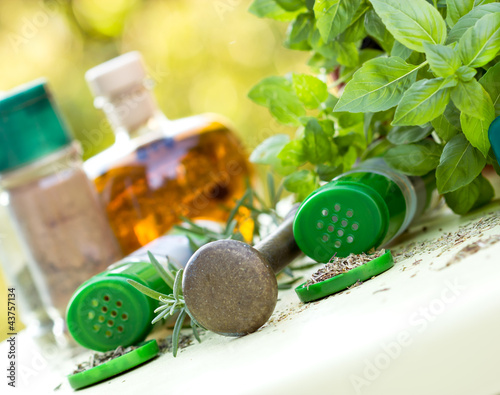 Foto: Fresh and dry herbs - spices Fresh and dry herbs - spices