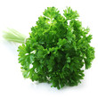 Herb Series - Parsley