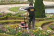 France, a gardener is working in the garden of Versailles palace