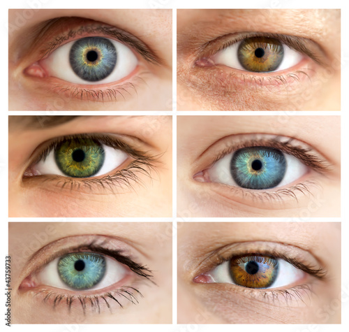 Photo: Set of 6 Real Different Open Eyes / Huge Size Set of 6 Real Different Open Eyes / Huge Size