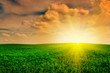 Photo: Beautiful sunset Beautiful sunset