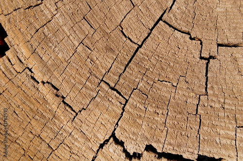 Foto: Closeup Background Of Cracked Cut Tree Trunk Closeup Background Of Cracked Cut Tree Trunk