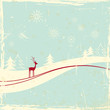reindeer in winter landscape
