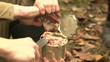 Video: Soldiers with a knife opens canned food Soldiers with a knife opens canned food