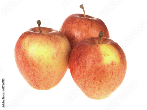 Photo: Red Sonya Apples Red Sonya Apples