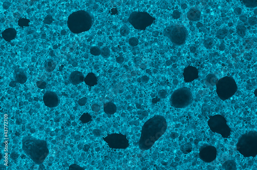 Photo: Sponge detail Sponge detail