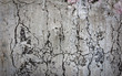 grunge texture for background
