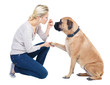 Taking the time to train her dog