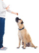 Giving him a just reward