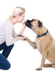Photo: You're such a good dog! You're such a good dog!