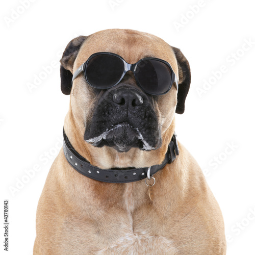 Photo: Too cool for you Too cool for you