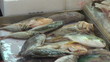 Fish for sale, street market, Hong Kong