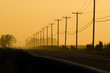 Lonely road