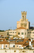rooftop  Jerusalem Palestine Israel architecture with mosque tem