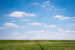 Landscape Grand-Léez