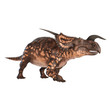 einiosaurus walking